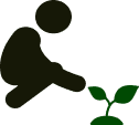 Trees Planted