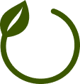 Green Energy Initiatives